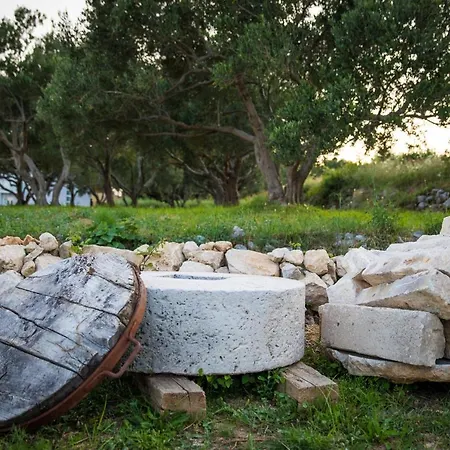 Madrevita Exclusive Villa *